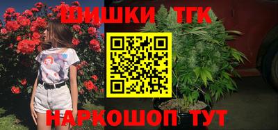 индика Чебаркуль