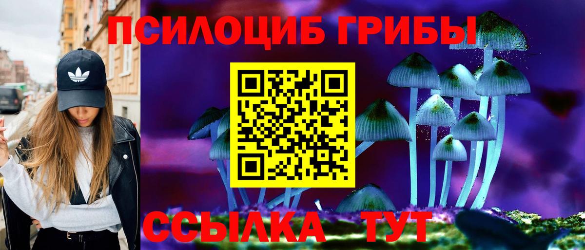 Псилоцибиновые грибы GOLDEN TEACHER Подольск